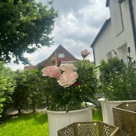 Deluxe Mit Terrasse Apartament *